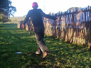 Disc Golf New Zealand Disc Golf New Zealand